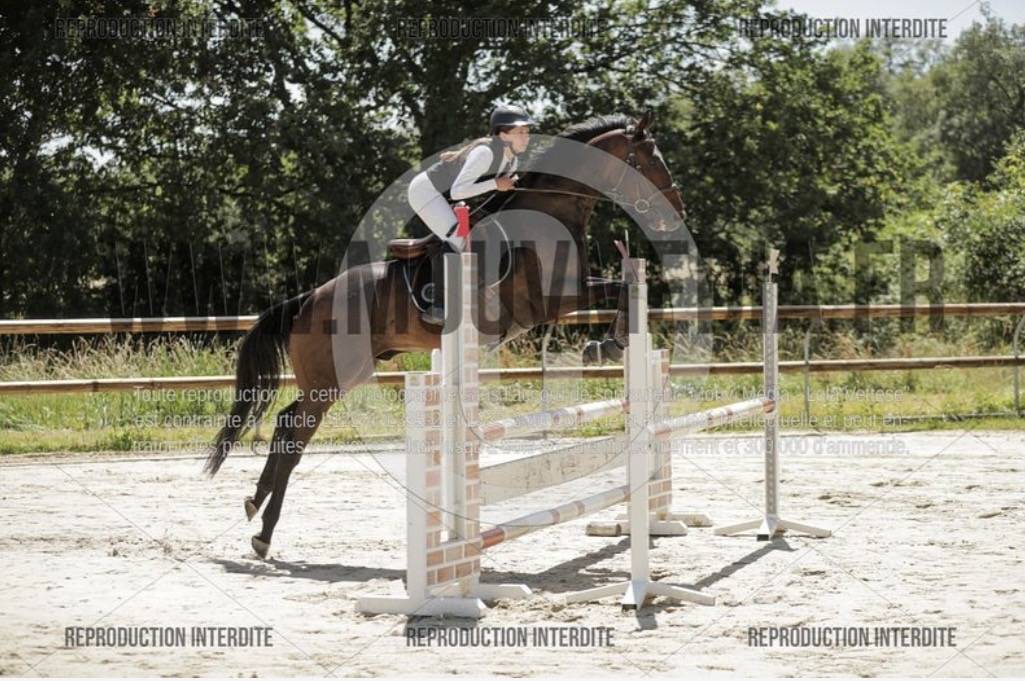 cheval PS
