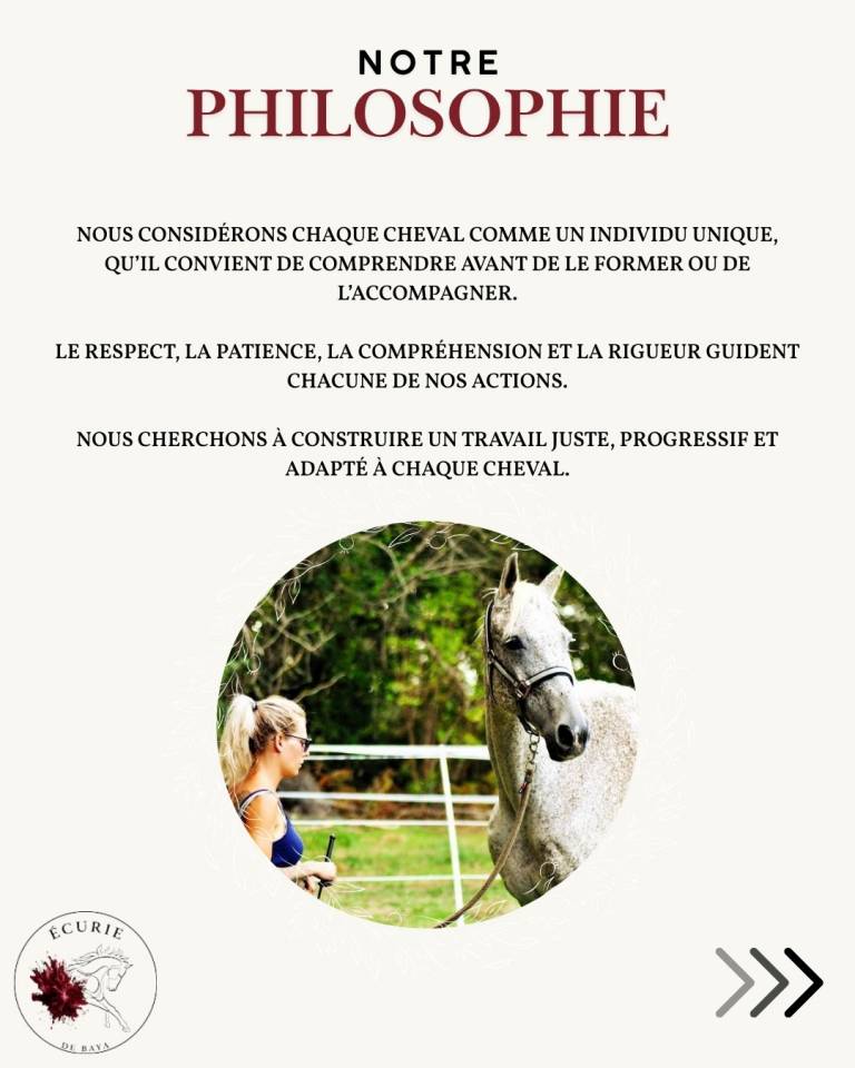 &Eacute;curie de reconversion | &Eacute;levage | Travail du cheval