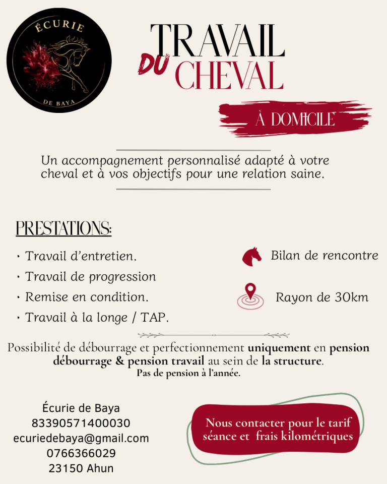&Eacute;curie de reconversion | &Eacute;levage | Travail du cheval