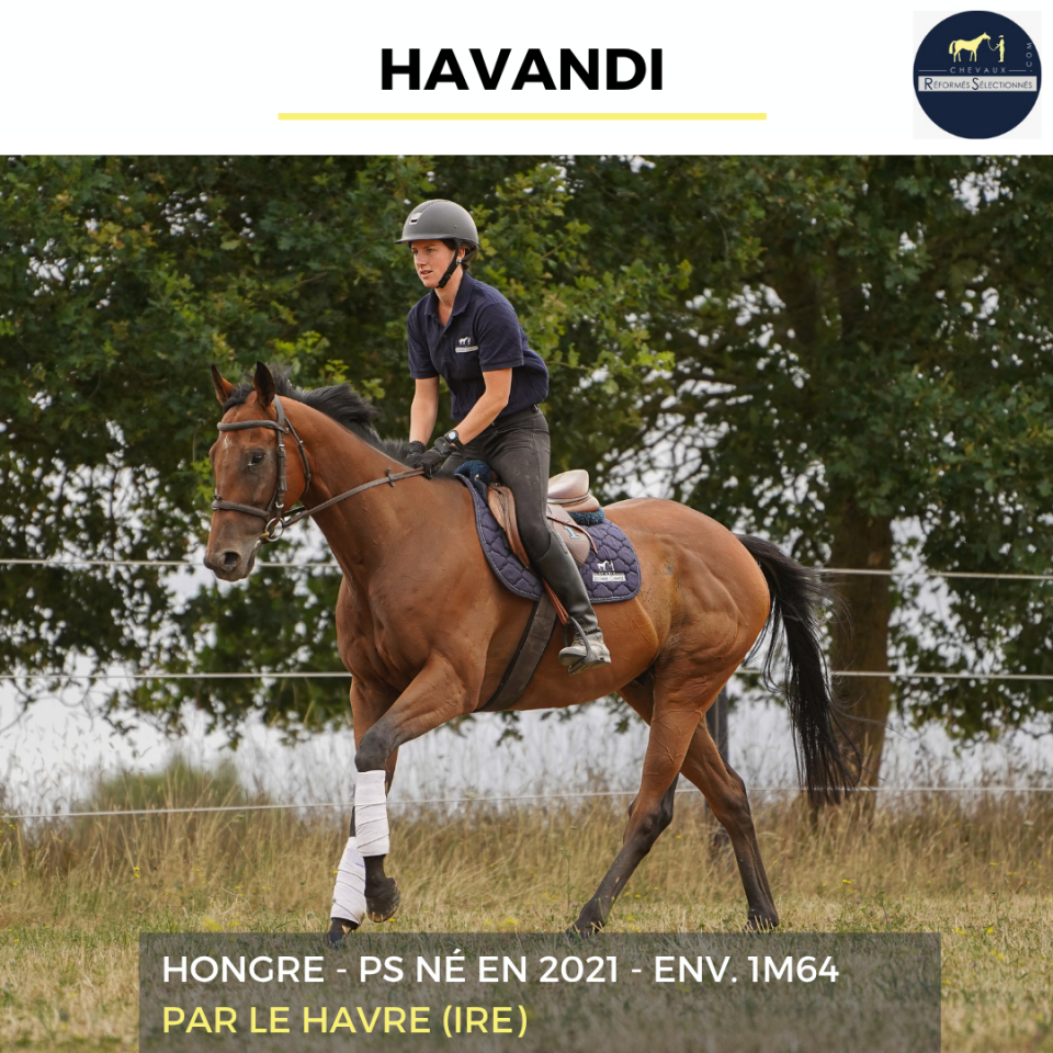 HAVANDI - PS - 5 ANS 
