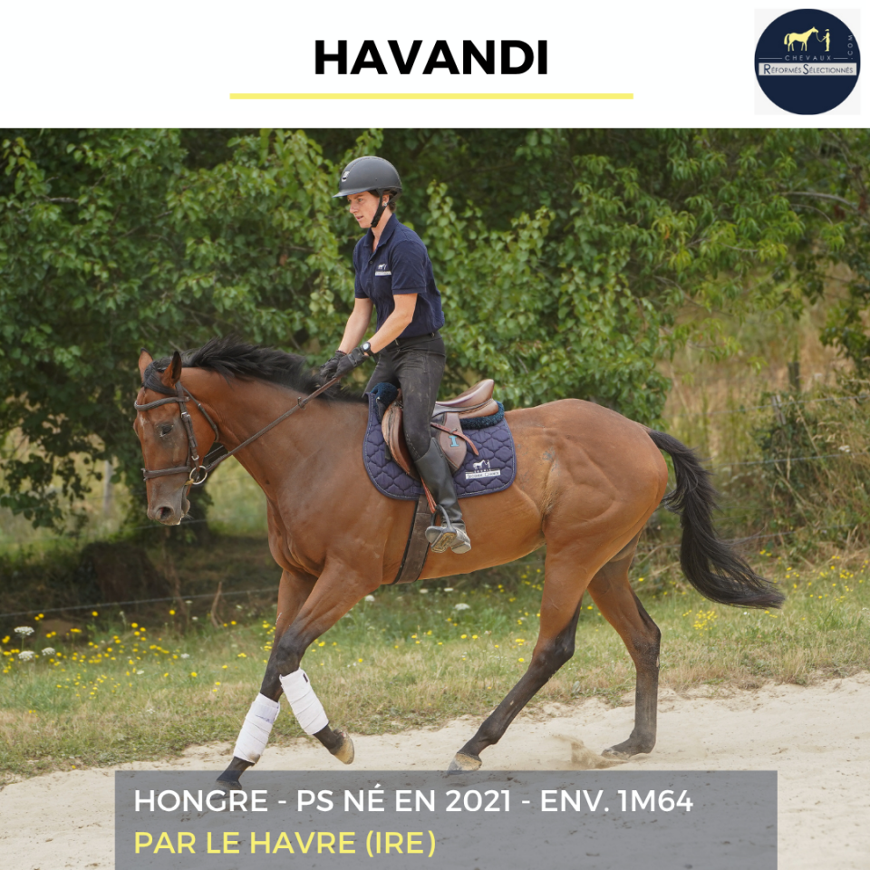 HAVANDI - PS - 5 ANS 