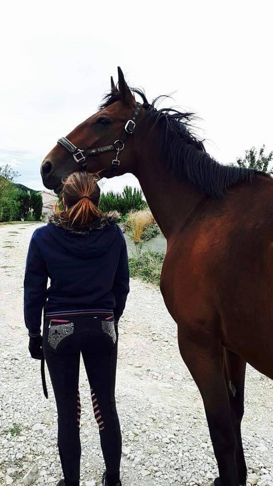 Vanda d&rsquo;Antifer &ndash; Jument TF de 17 ans