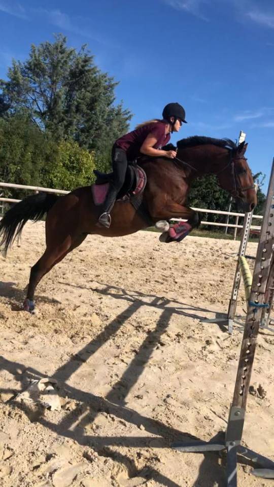Vanda d&rsquo;Antifer &ndash; Jument TF de 17 ans