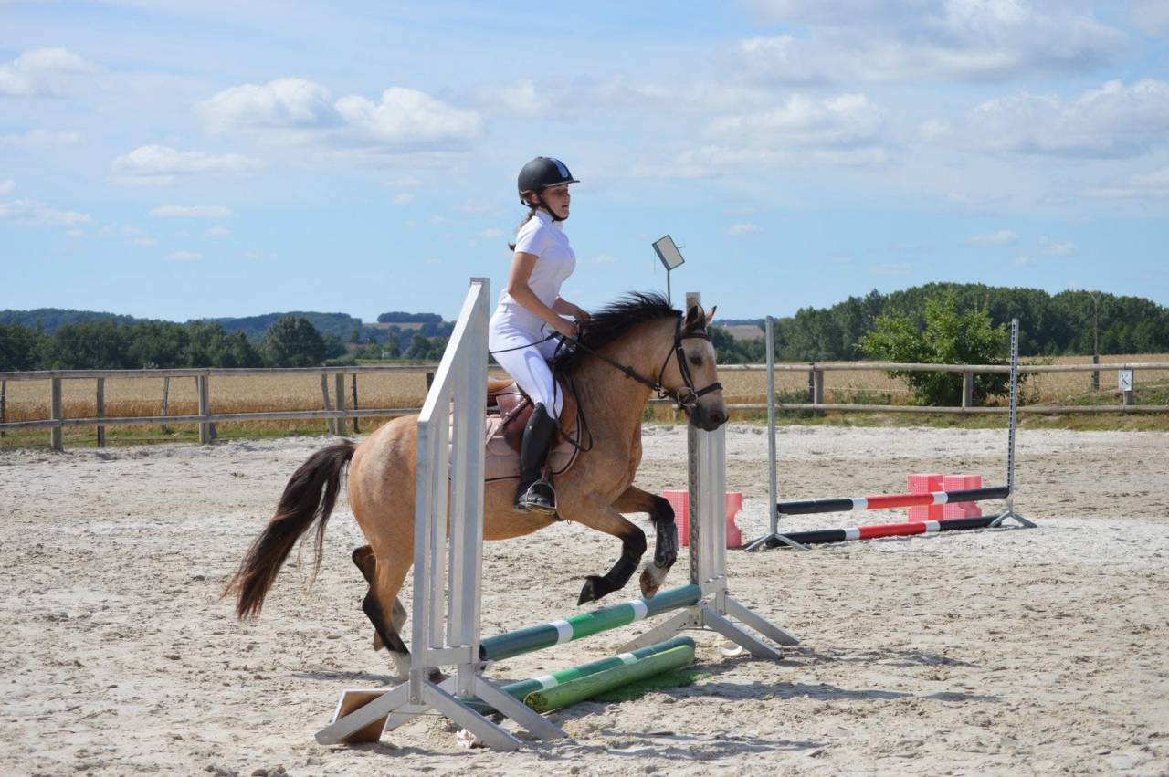 Super poney cherche pilote 