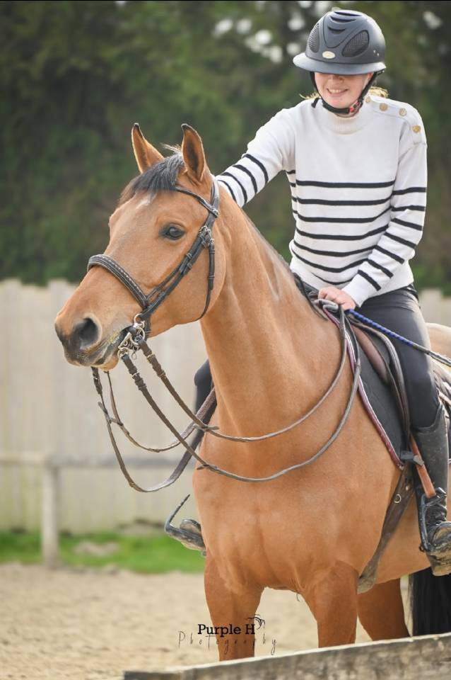 Jument CSO amateur 