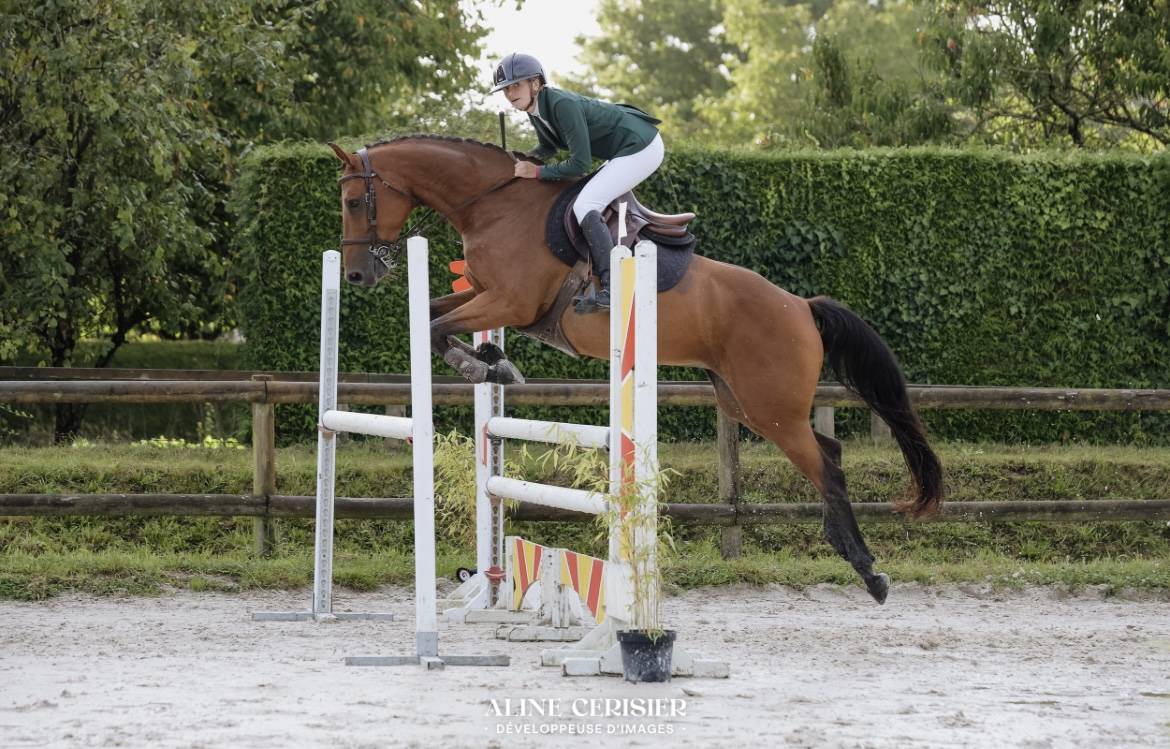Jument CSO amateur 