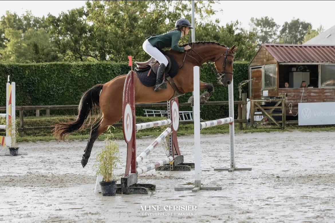 Jument CSO amateur 