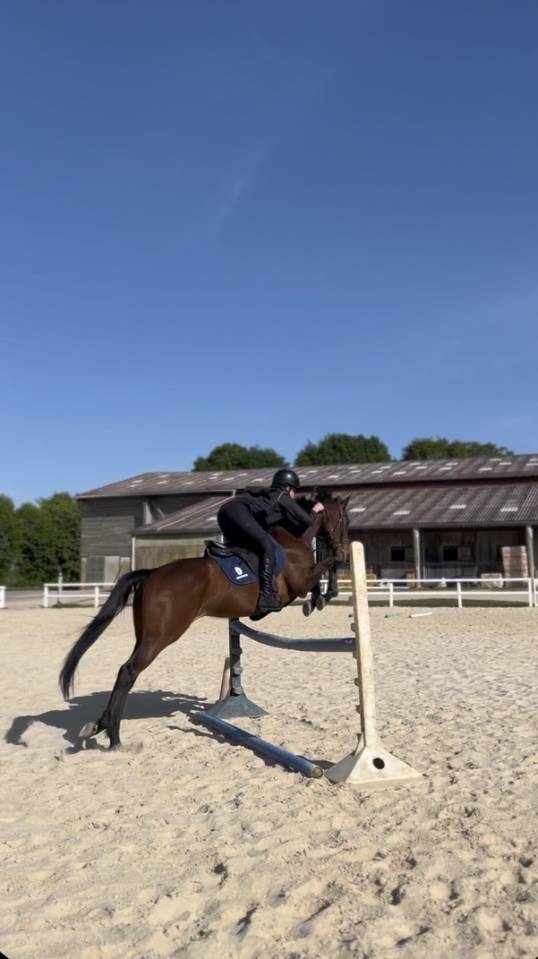 Jument de 8ans &agrave; vendre 