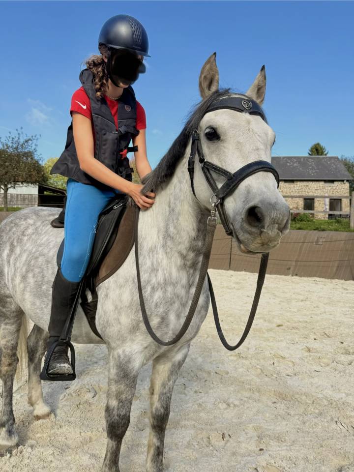 Poney fran&ccedil;ais de selle PP