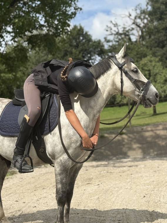 Poney fran&ccedil;ais de selle PP