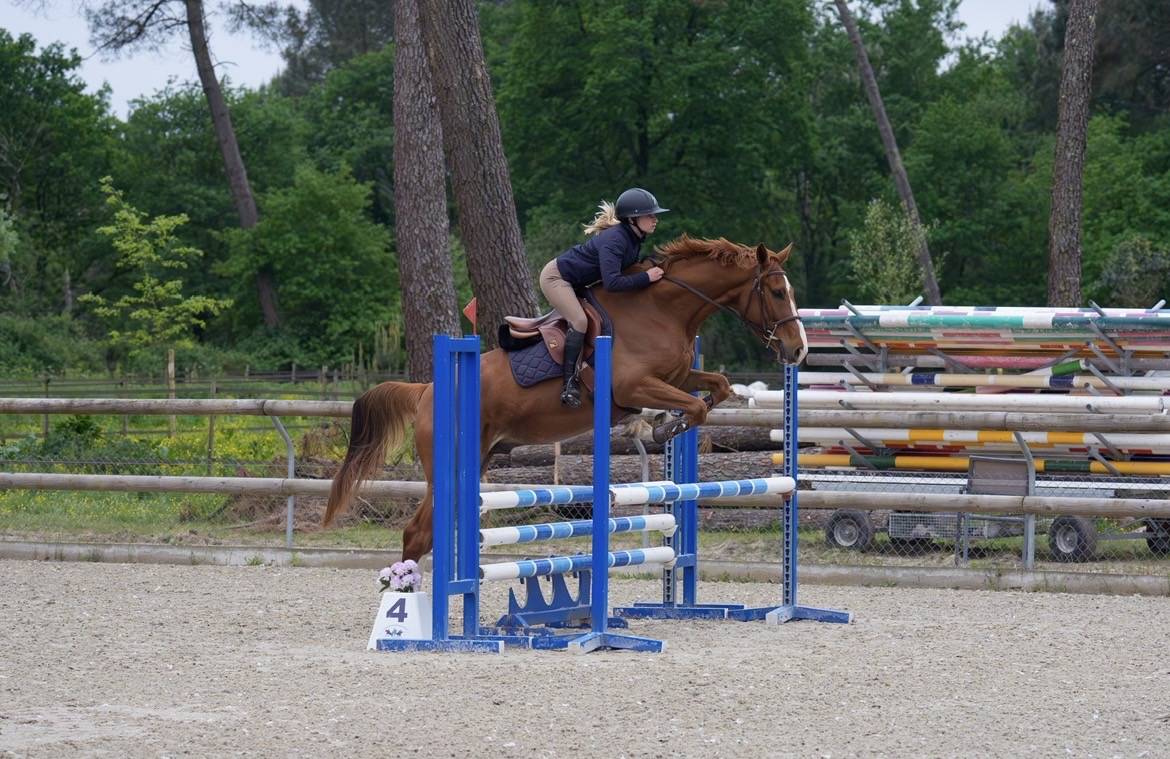 Cheval &agrave; vendre 