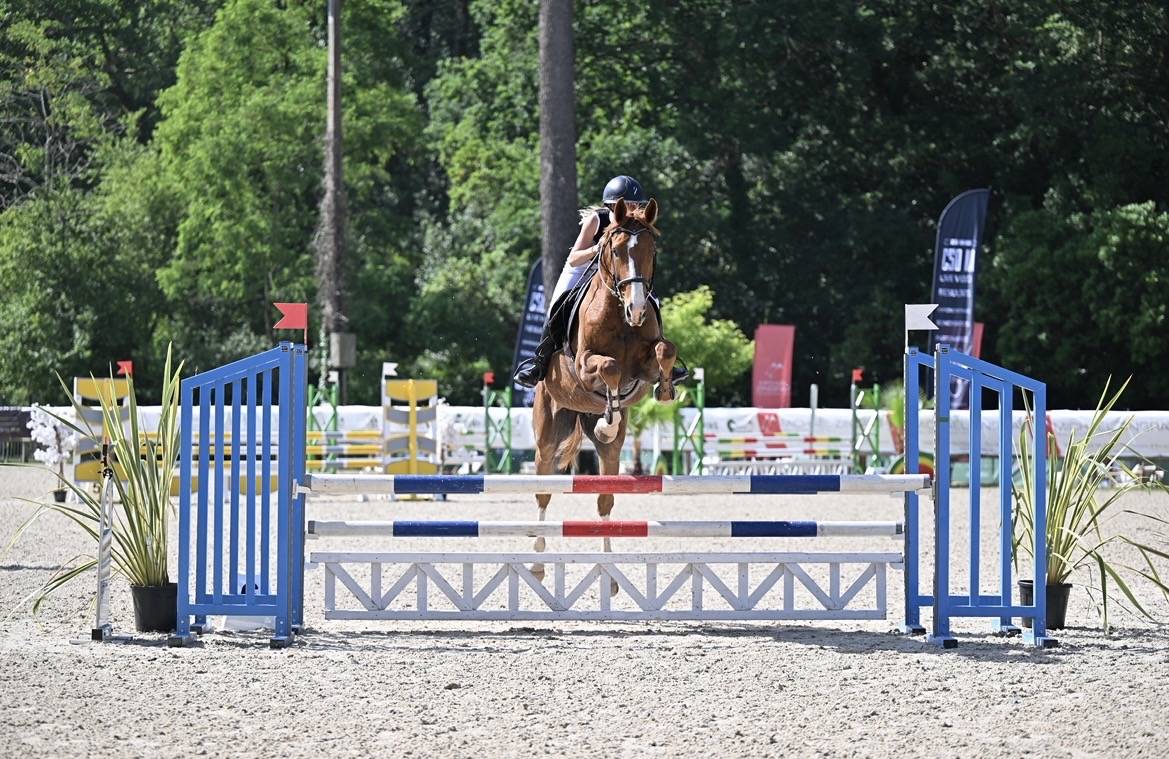 Cheval &agrave; vendre 