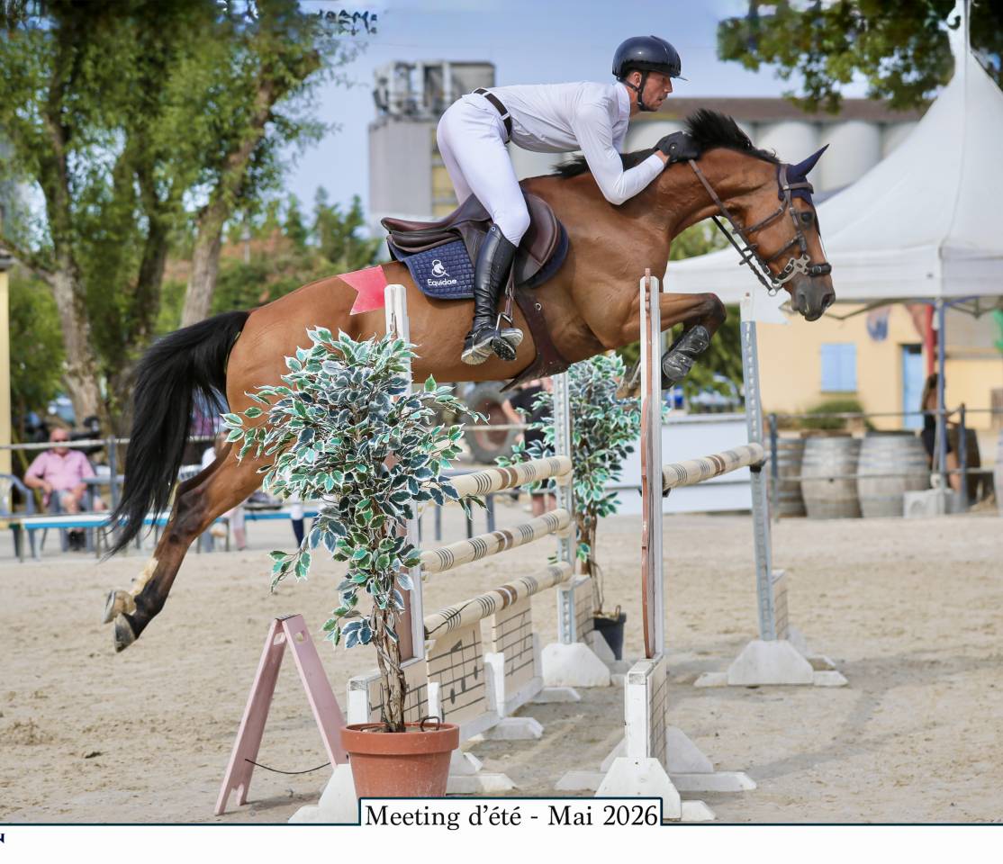 Hongre SF 8 ans - Sans faute 115/120