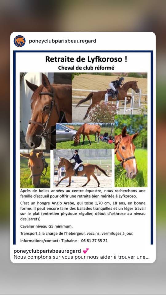 Don de cheval retraite 
