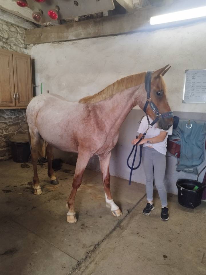 M&acirc;le 2 ans PFS 