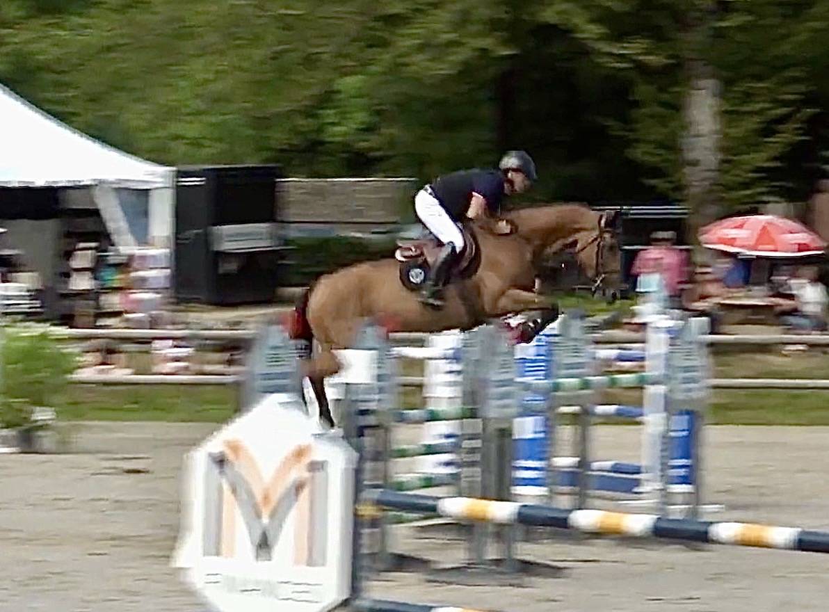 Jument de sport 140/145