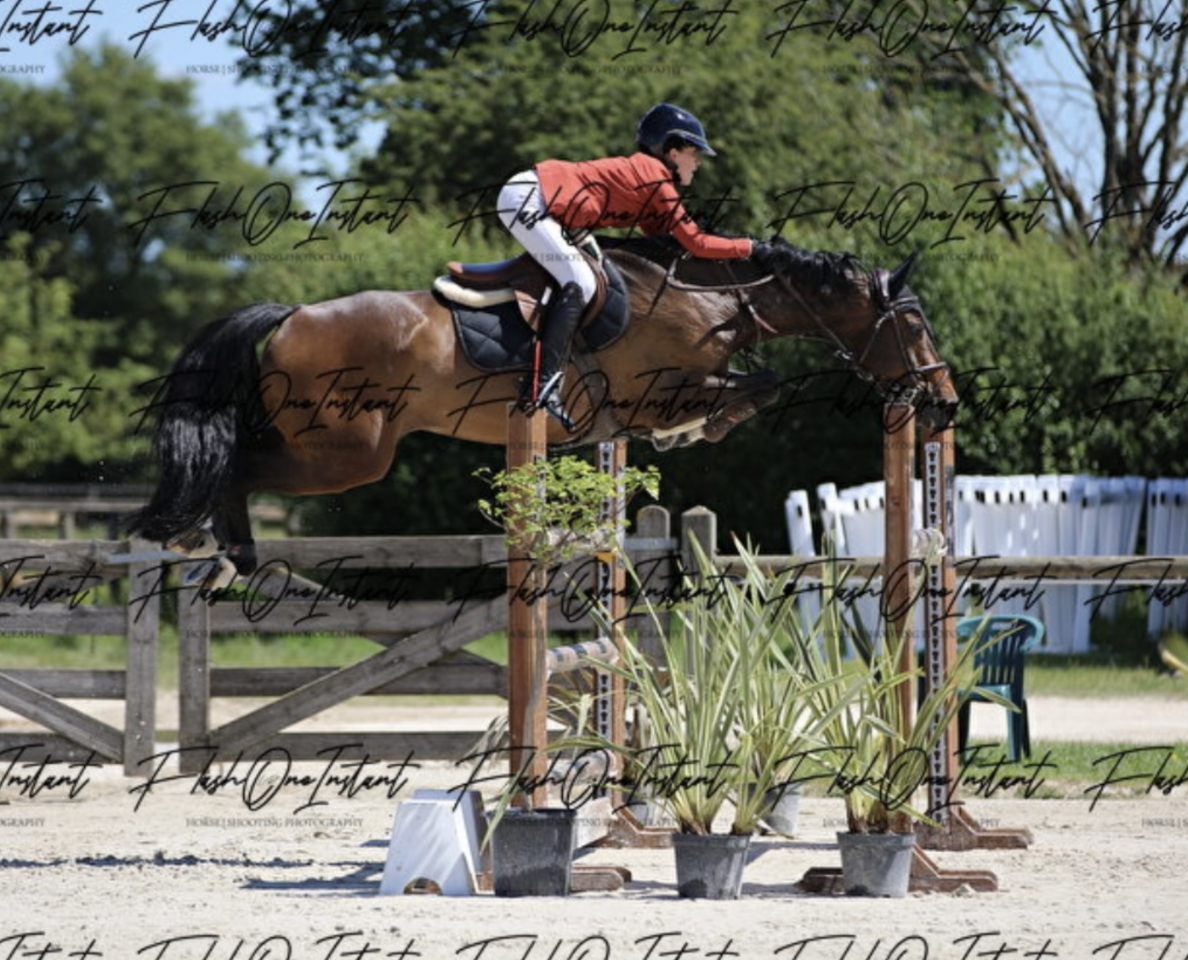 &Agrave; vendre (ou &eacute;change) jument 8 ans class&eacute;e 125/130