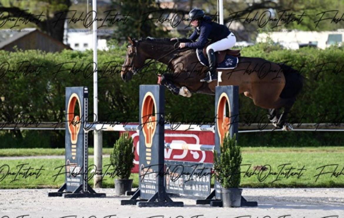 &Agrave; vendre (ou &eacute;change) jument 8 ans class&eacute;e 125/130