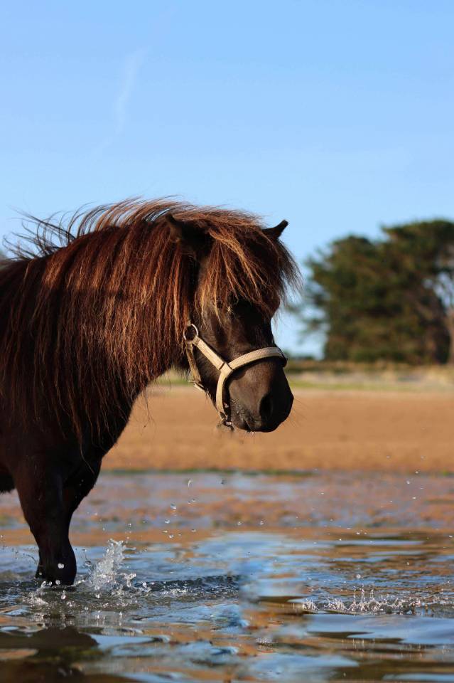 Ponette onc 3 ans