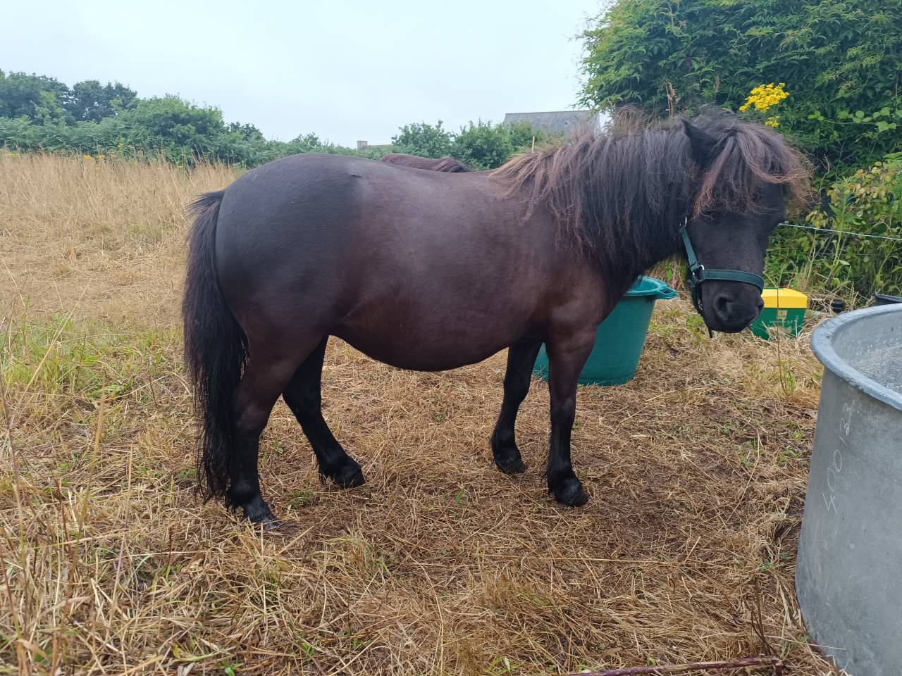Ponette onc 3 ans