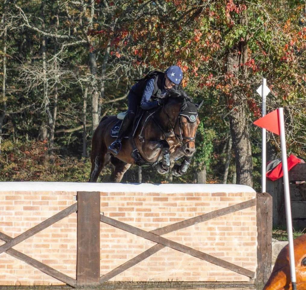 &Eacute;talon Welsh COB