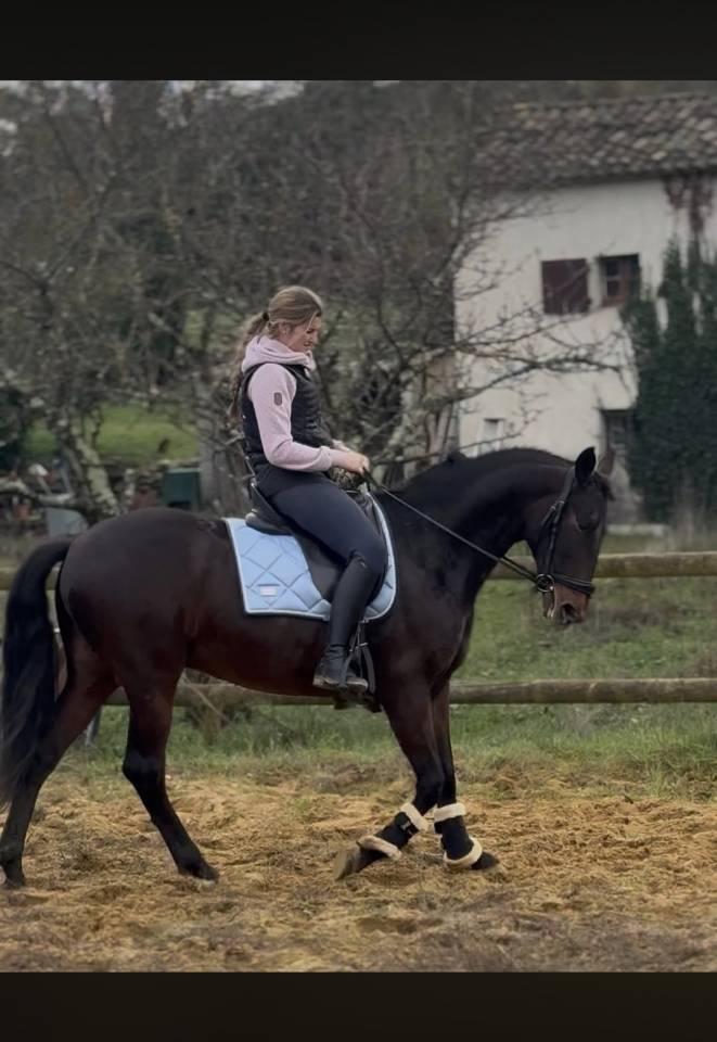 Cheval Cruzado, 10 ans