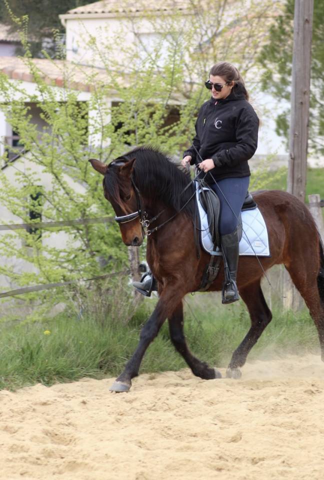 Cheval Cruzado, 10 ans