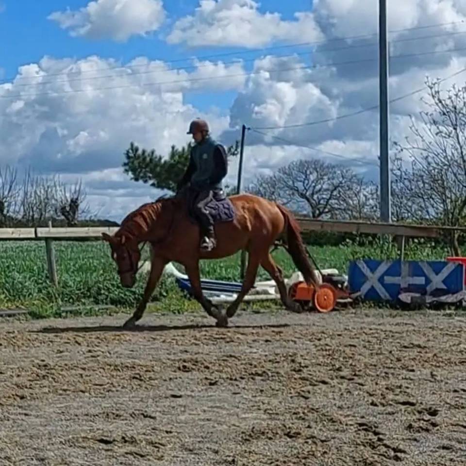 TOP HONGRE DE 8 ANS 
