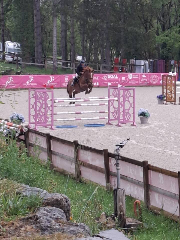 TOP HONGRE DE 8 ANS 