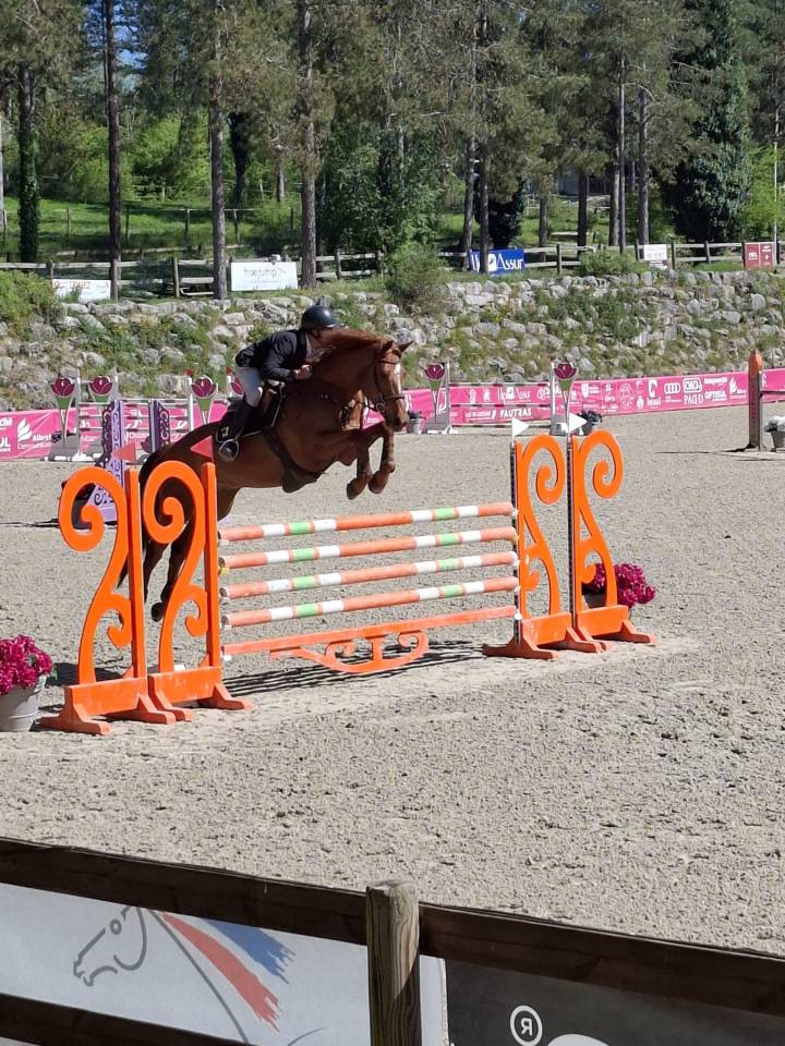 TOP HONGRE DE 8 ANS 