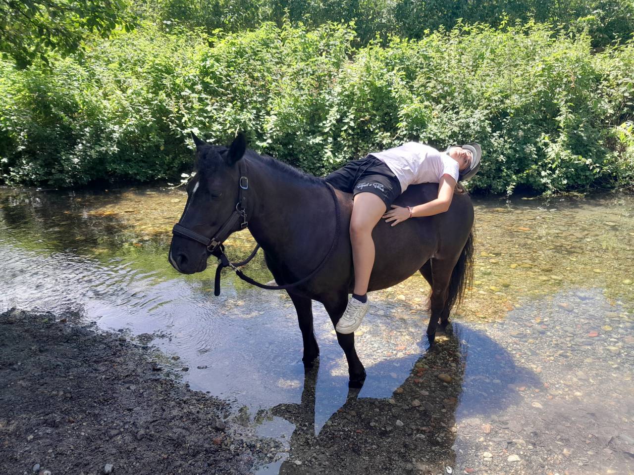 Confiage ponette de sport 10 minutes de Grenoble