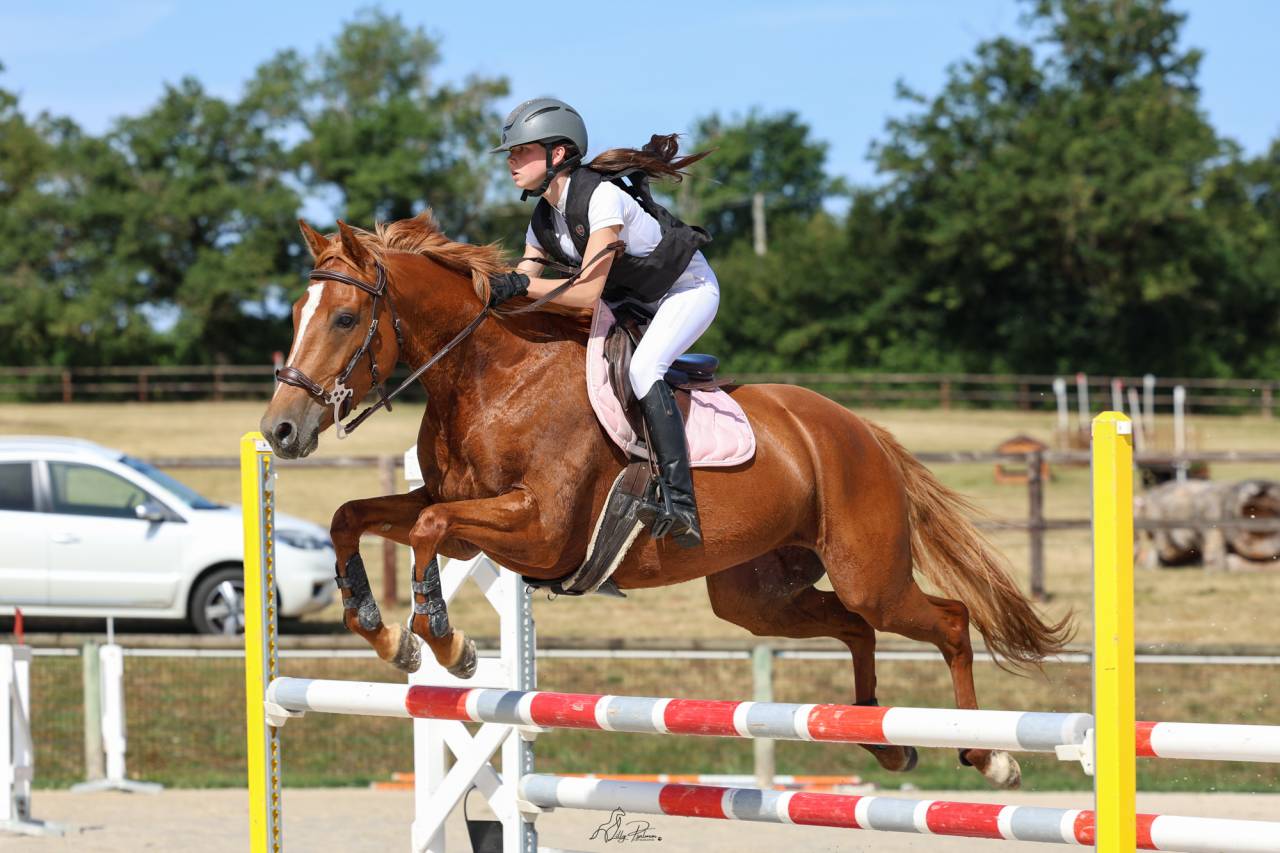 Malika d'Ever, jument de sport. 
