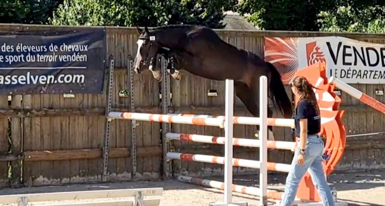 MURACO D ASTREE 4 ANS 