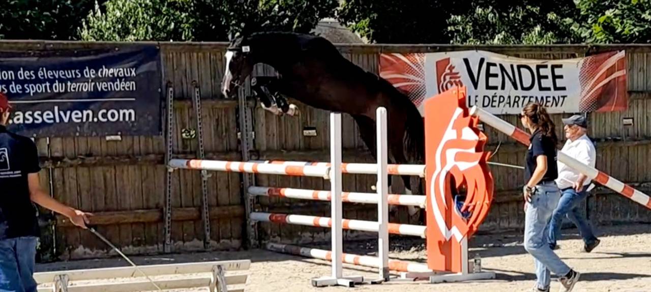 MURACO D ASTREE 4 ANS 