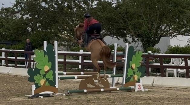 Liberty des Palisse - PFS - 5 ans 