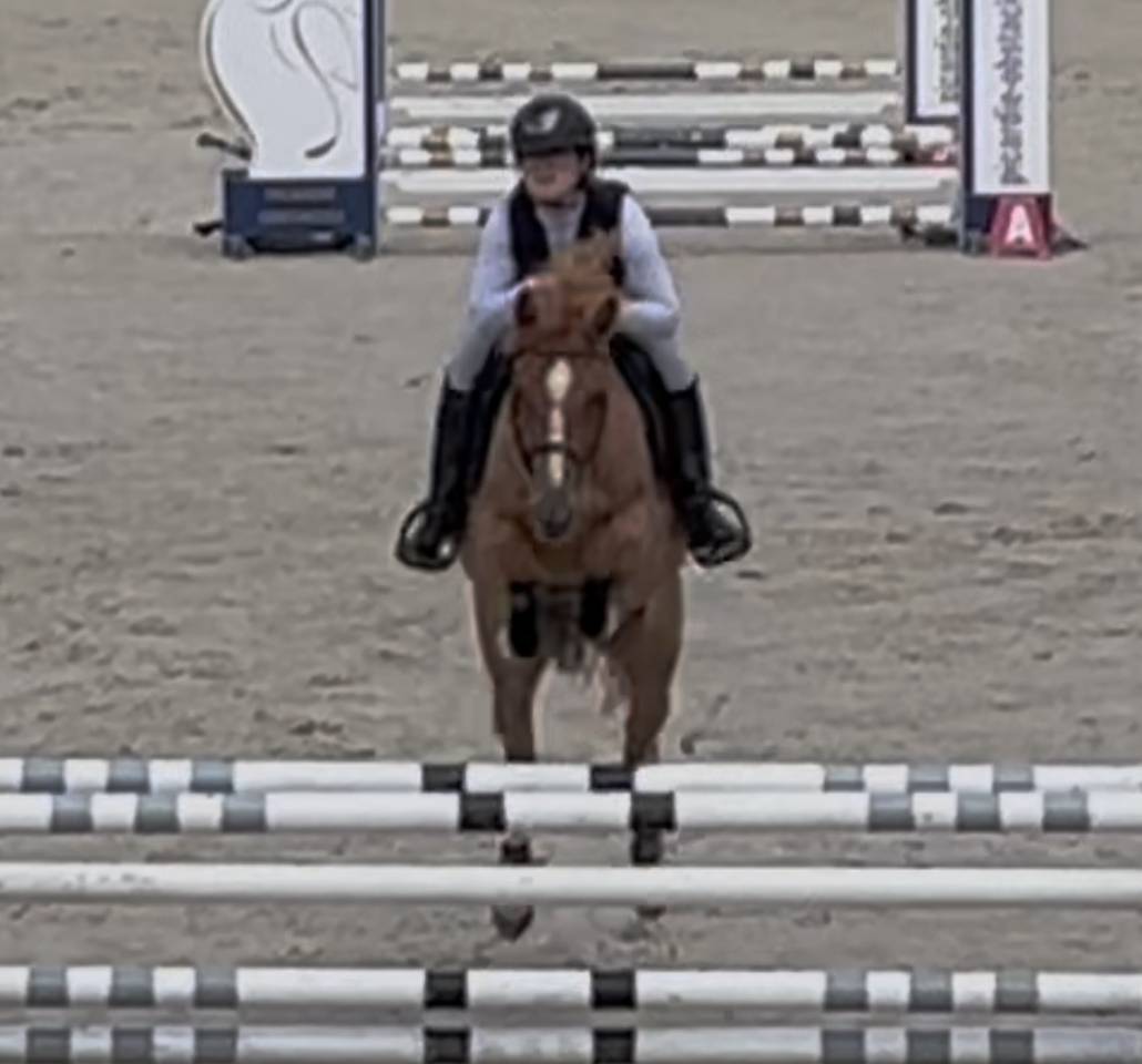 Liberty des Palisse - PFS - 5 ans 