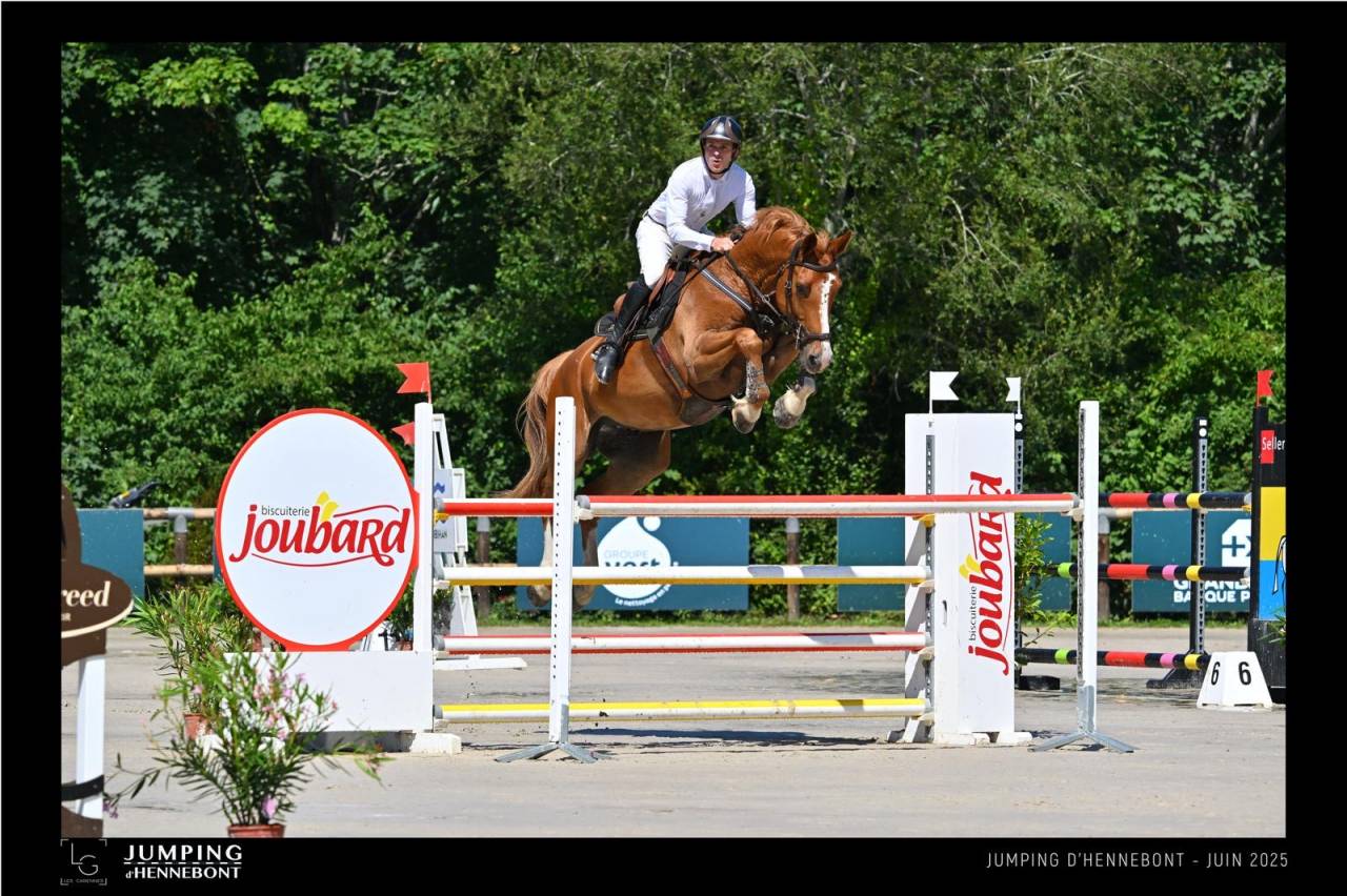 Cheval de sport 