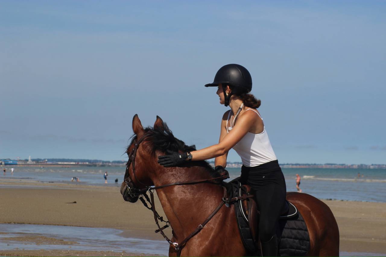 &Agrave; vendre ponette 11 ans polyvalente 