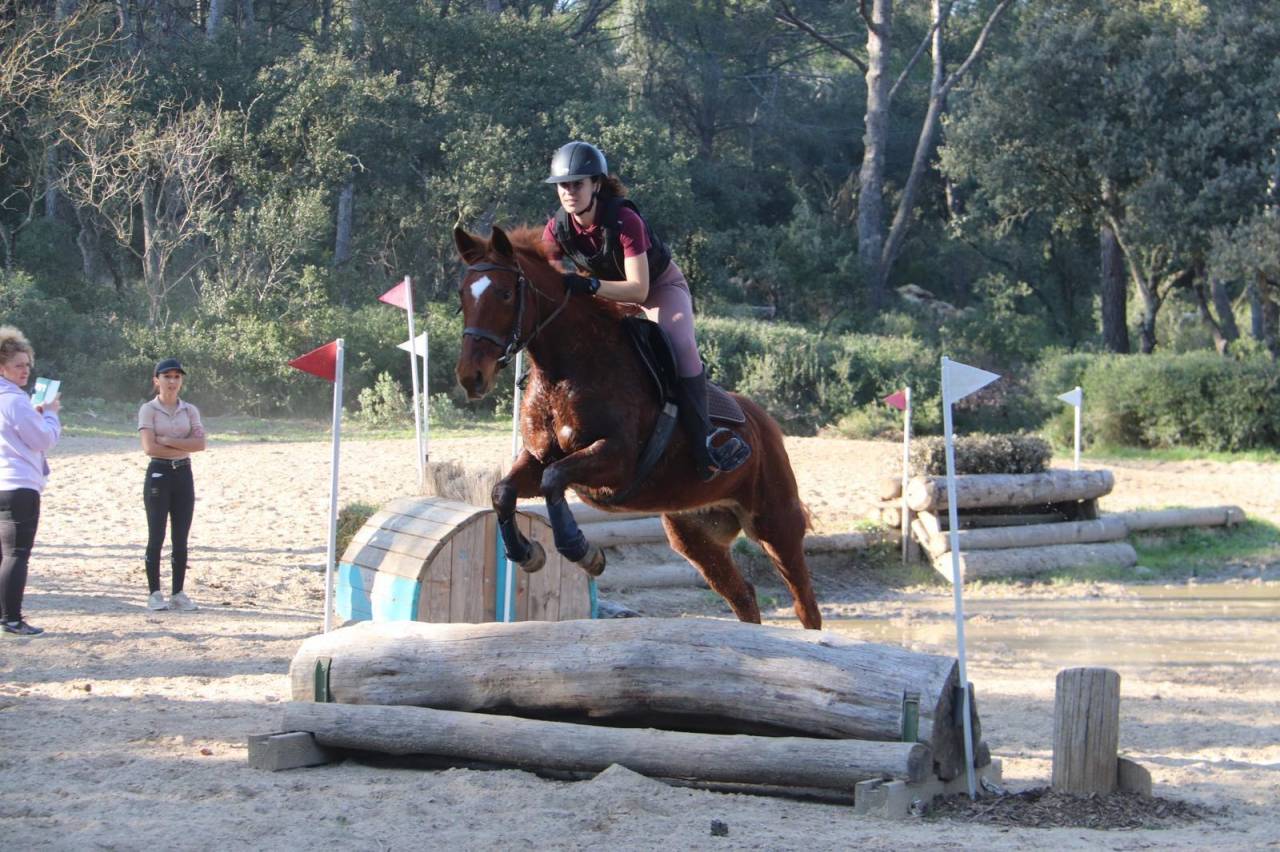 KIARA Jument de 9 ans 