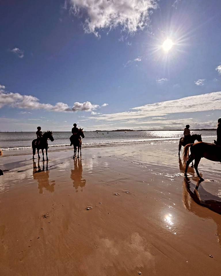Moniteur d'&eacute;quitation