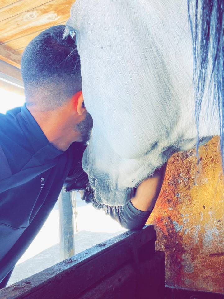 Sofien 37 ans Disponible pour poste de Palefrenier log&eacute;
