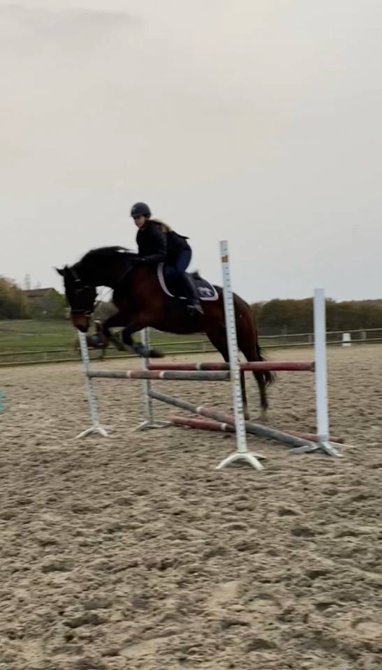 Valsain- Pur sang 9 ans &agrave; vendre 