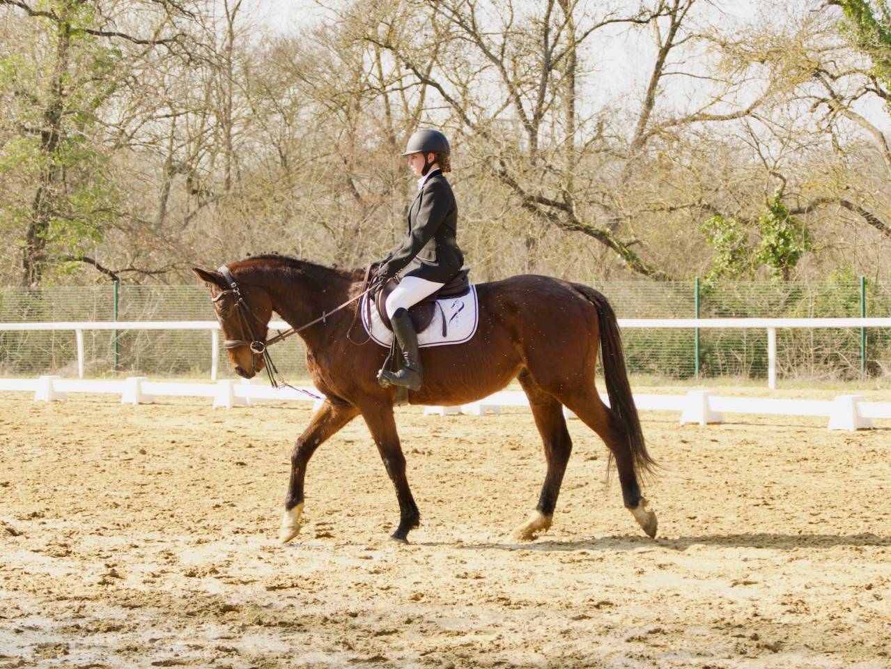 Valsain- Pur sang 9 ans &agrave; vendre 