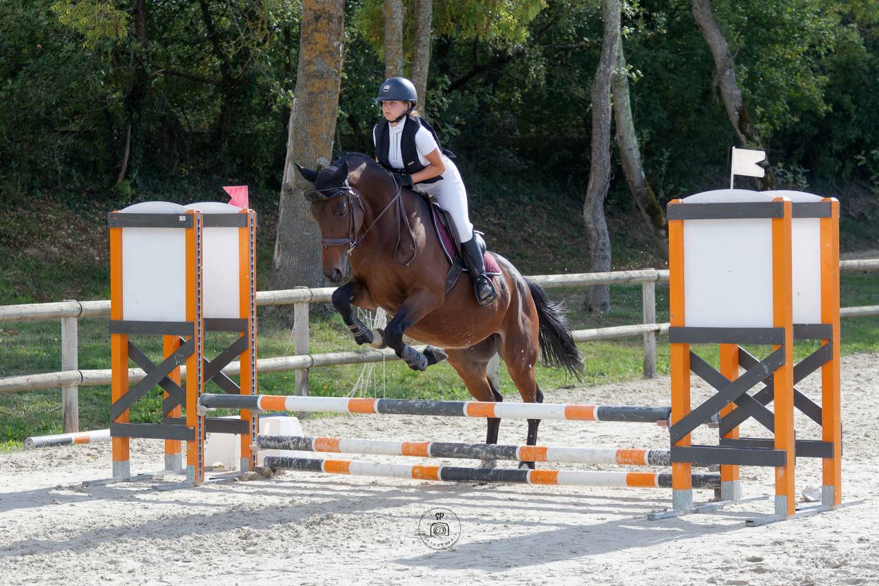 Valsain- Pur sang 9 ans &agrave; vendre 