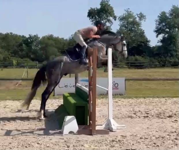 Male 4 ans Catchar mail x Casano