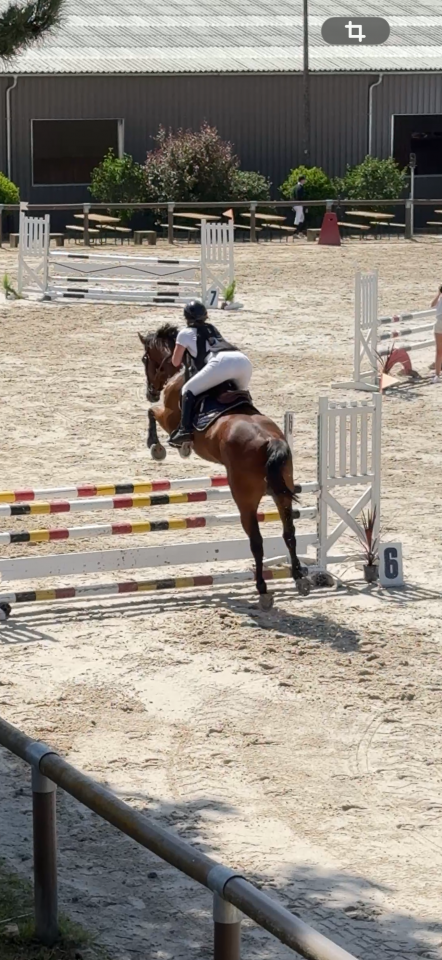 Cheval &agrave; confier 