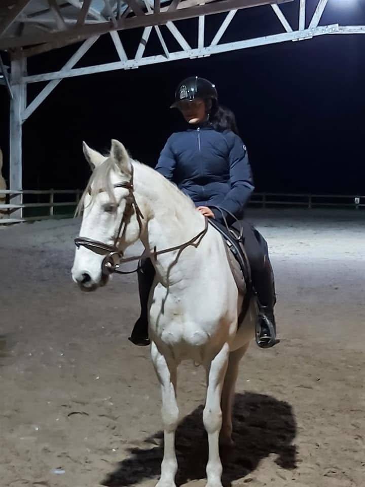 Cheval &agrave; vendre 