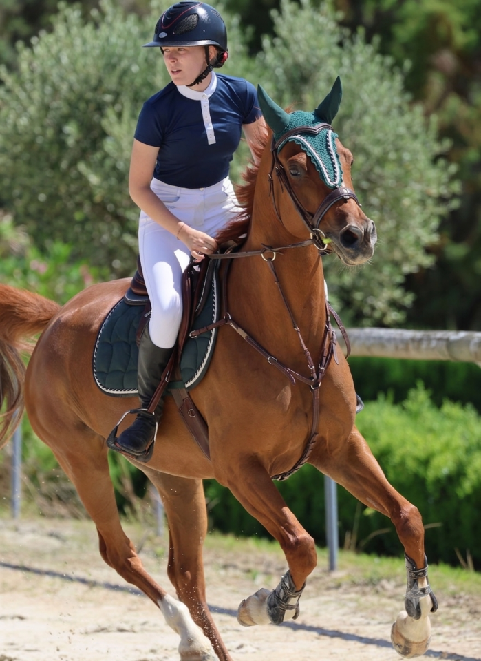 Cheval &agrave; vendre