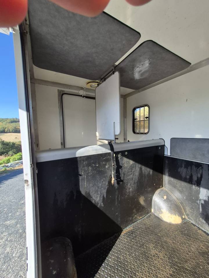Renault Master Paragan