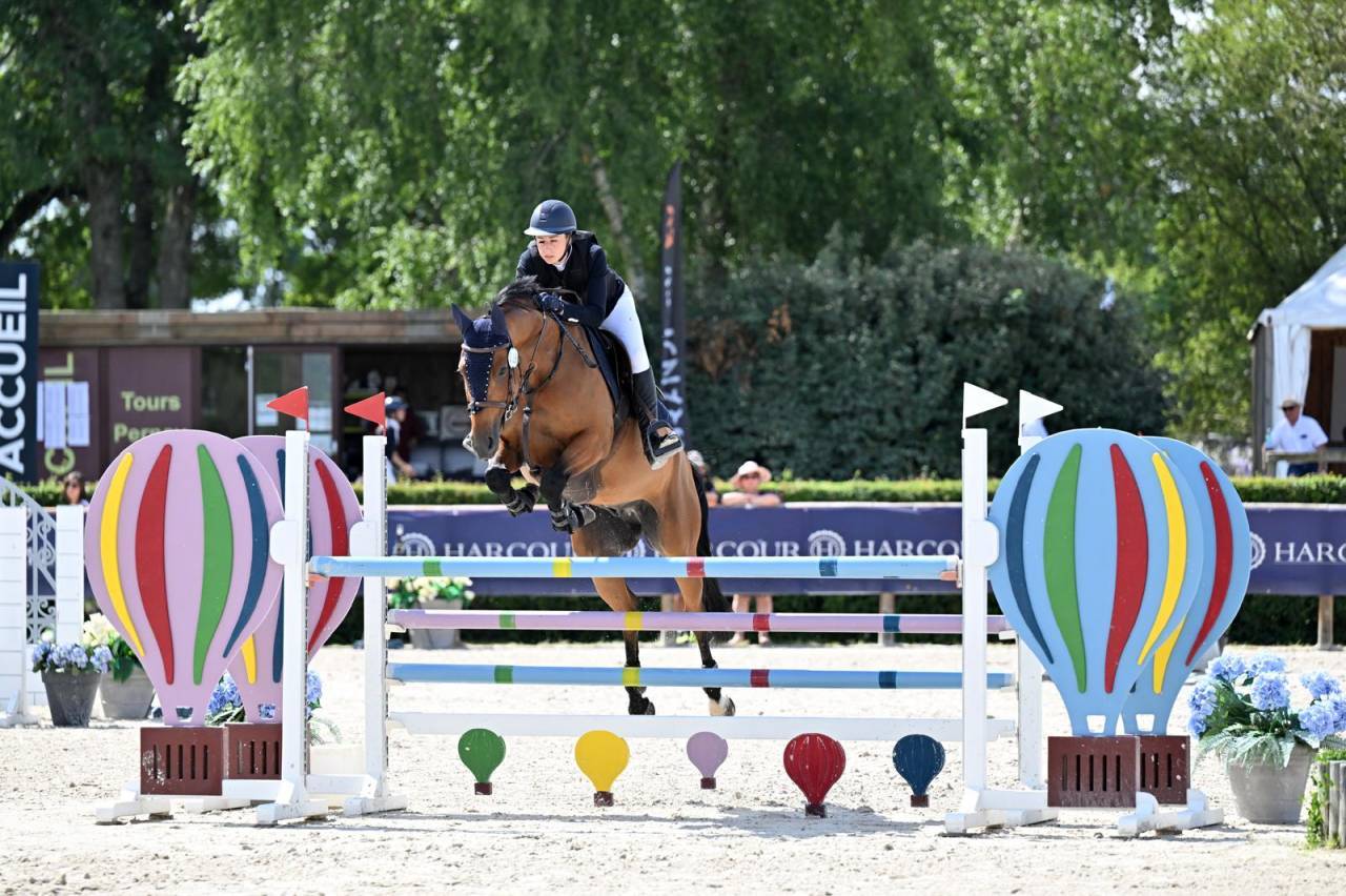 Cheval a Vendre